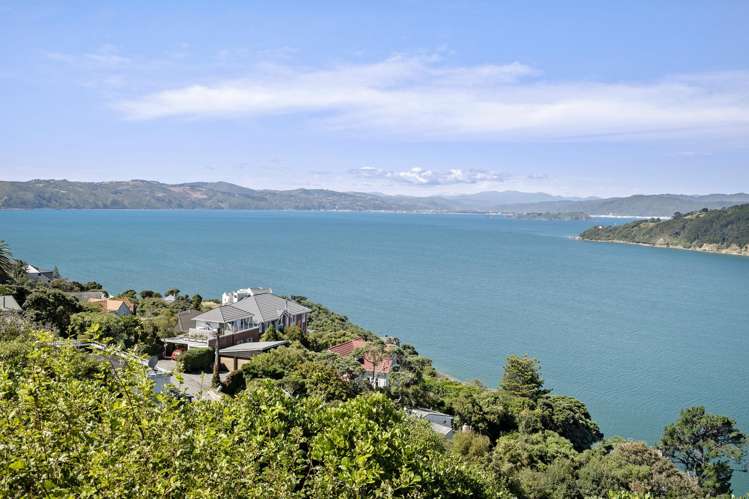 21 Waipapa Terrace Hataitai_12