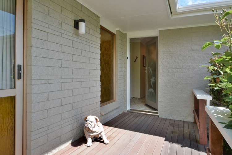 128 North Taieri Road Abbotsford_4