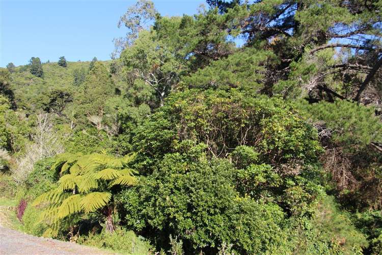 20 Russell Street Picton_6