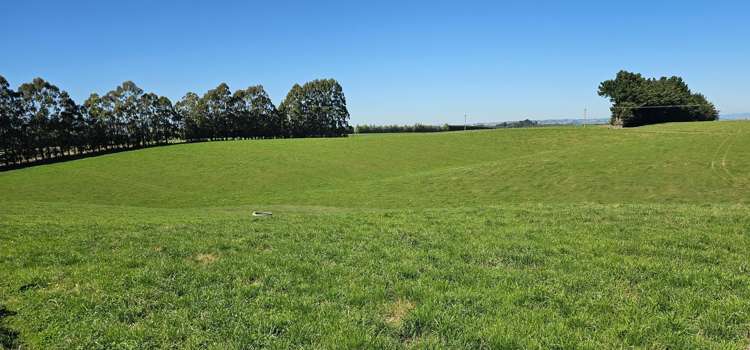 465 Adam Fleming Road Crossans Corner_24