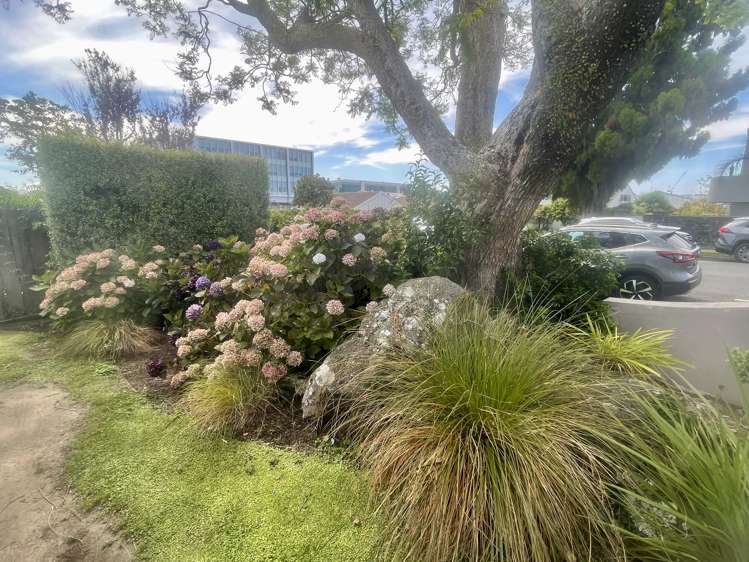 4/28 Third Avenue Tauranga Central_4