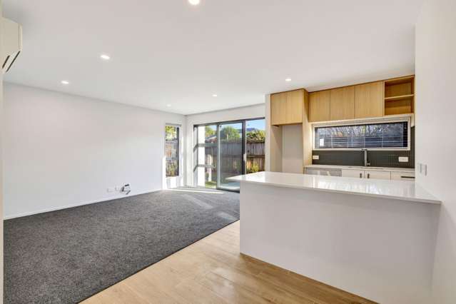 4/9 Spring Grove Street Spreydon_1