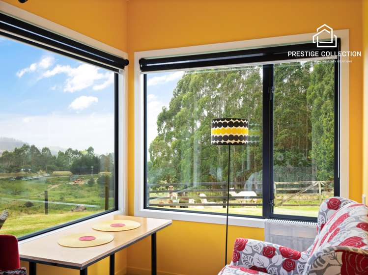 242 Waitati Valley Road Upper Waitati_18