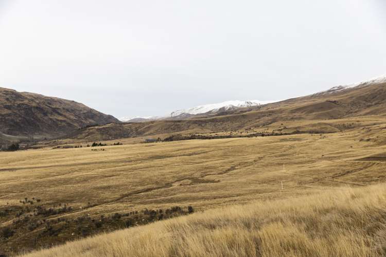 - Cardrona Valley Road The Pisa - Pioneer_16