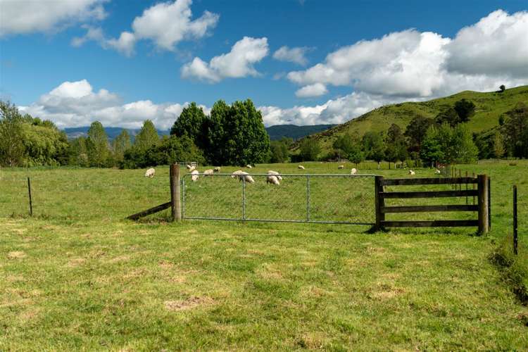 237 Win Valley Road Dovedale_32