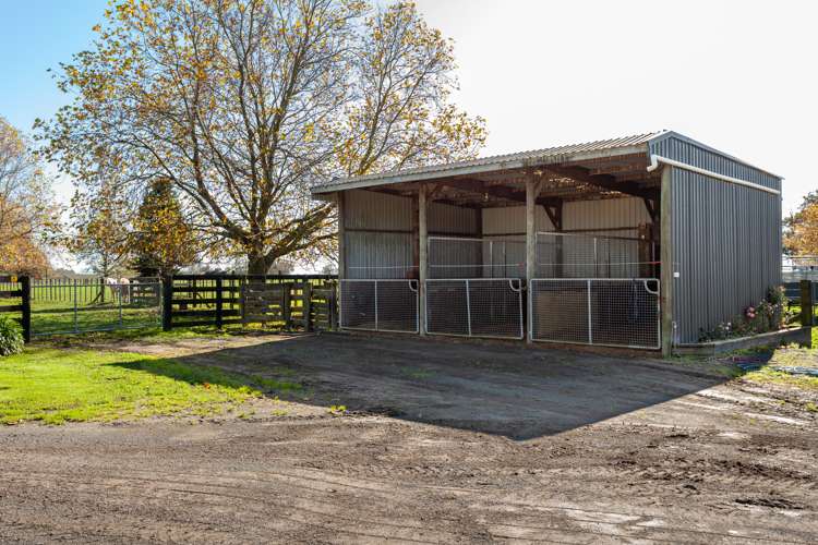 1463 Alexandra Road Waharoa_6