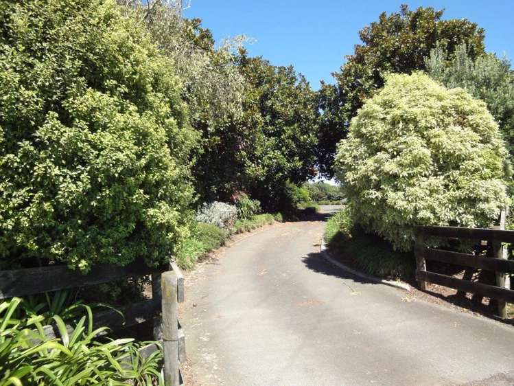 190 Waverley Road Gordonton_1