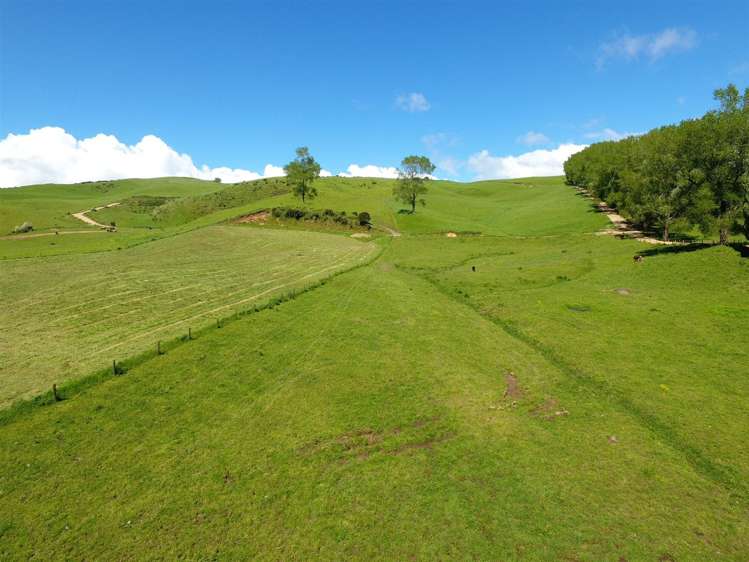 67 Okoko Road Otorohanga_29