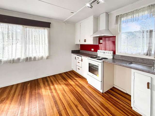 117 Ngatai Street 1154_1