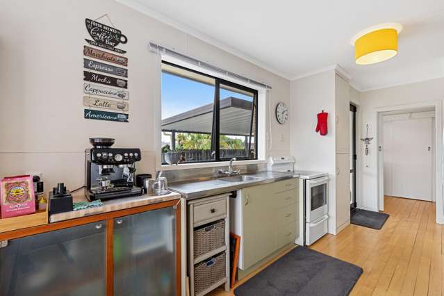 446B Thames Street Morrinsville_3