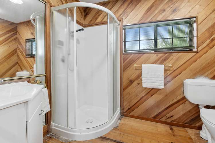 9 Nikau Street Springfield_13