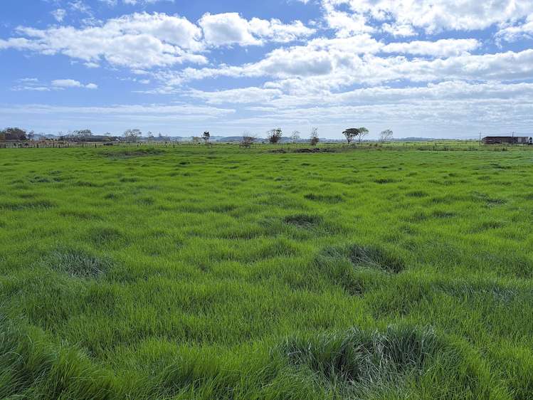 65 Heawa Road Dargaville_16