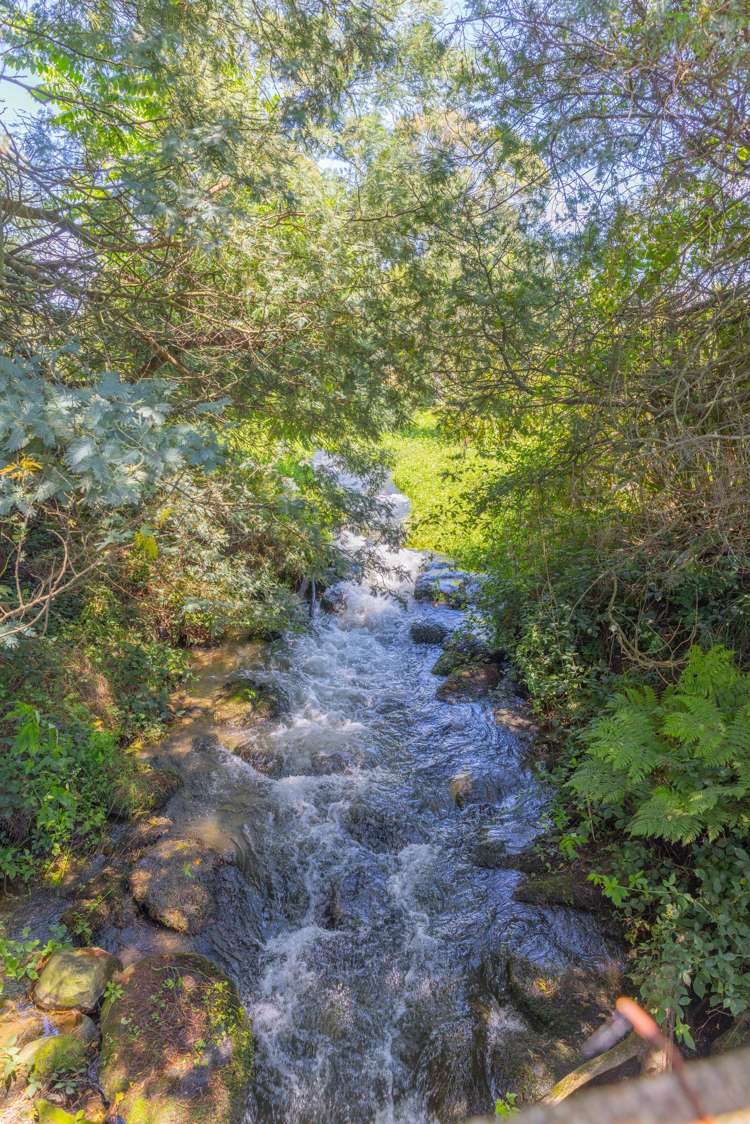 235 Old Taupo Road Putaruru_0