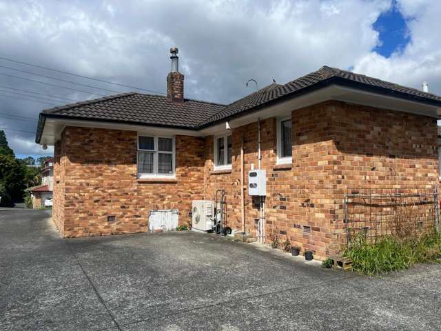 81 Rimu Street New Lynn_1