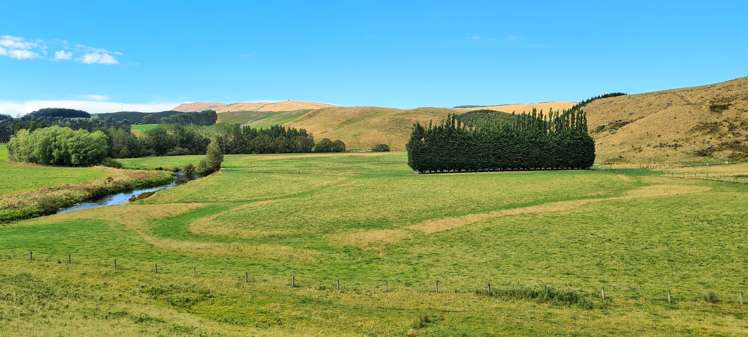 41 Otaria Road Gore Surrounds_17