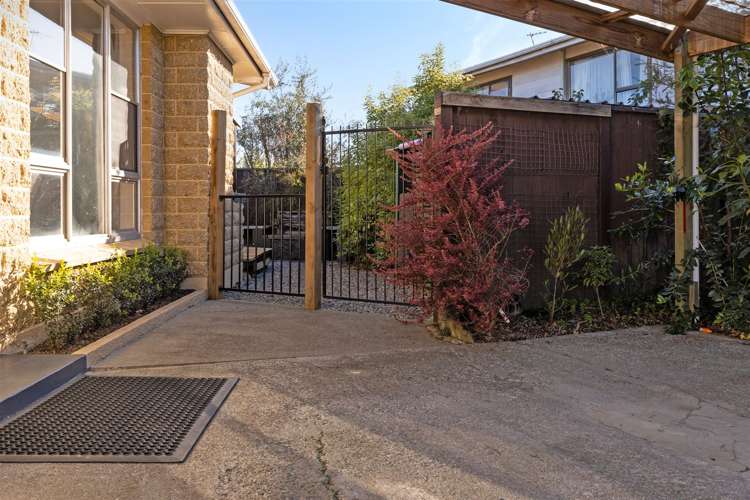 59a Inkerman Street Renwick_25