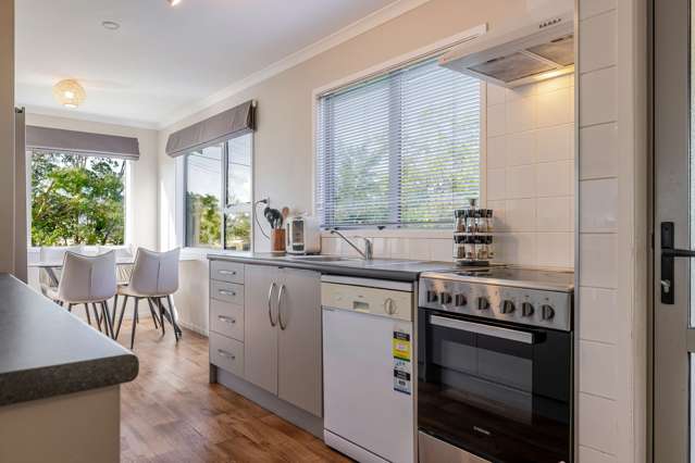 6 Matipo Street Tokomaru_1