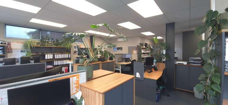 22 Louvain Street Whakatane_6