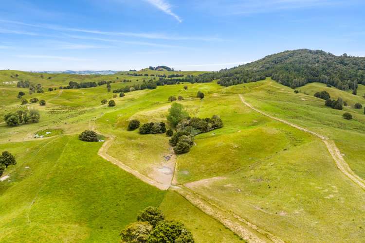1228a Bull Road Paparoa_20