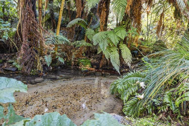 36 Buchanan Place Westbrook_6