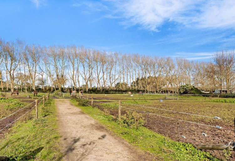 27 Royal Doulton Drive Pukekohe_7