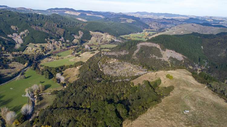 338 Tinui Valley Road Tinui_9