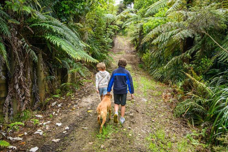 305 Wairere Road Waitakere_5