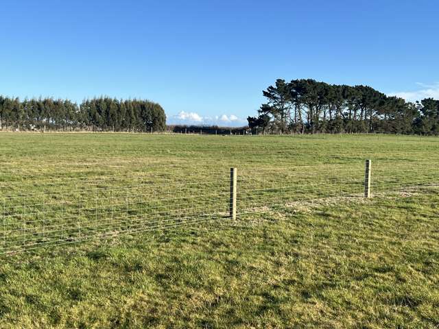 35 Wilson Road South Motu Rimu_1