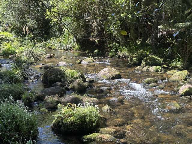 9D McQuade Road Whakamarama_2