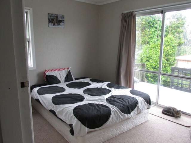 34 Overdale Street Putaruru_2