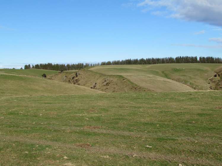 168 Remarkable Road Lawrence_6