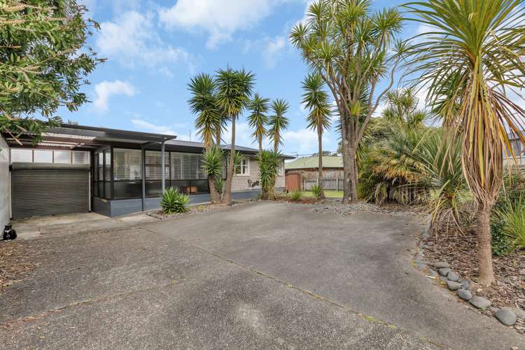 25 Wilson Avenue Avenues_18