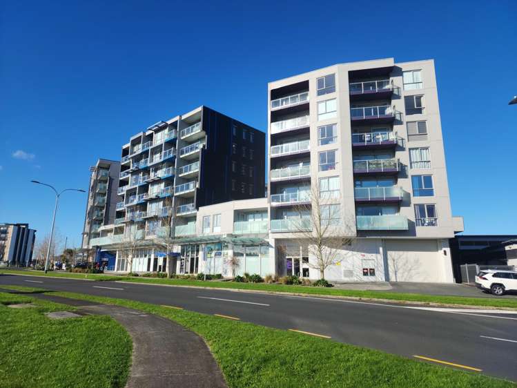 202/25 Don Mckinnon Drive_0