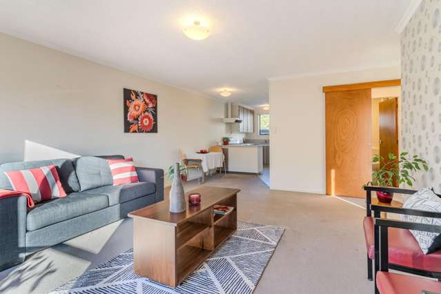 50e Oxford Street South Dunedin_1