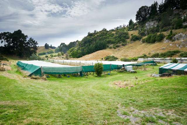 880 Maraetotara Road Central Hawkes Bay Coastal_1