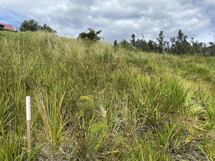 315 The Drive Whangamata_11