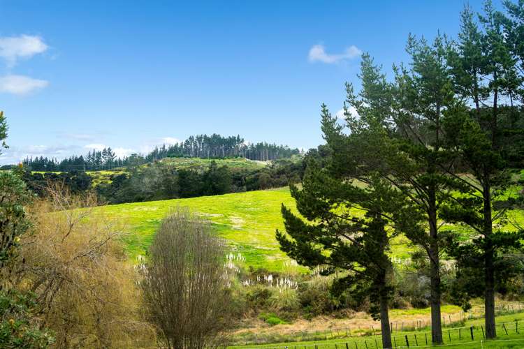 17 Rauta Way Helensville_17