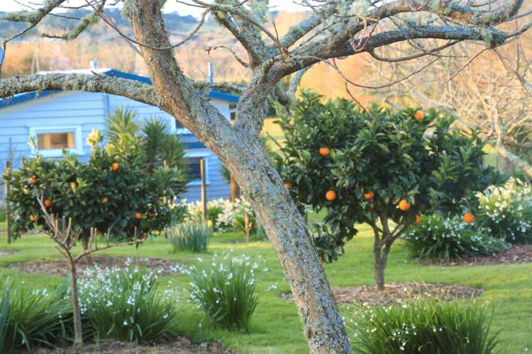 1559 Kahikatea Flat Road Kaukapakapa_18