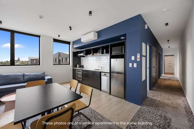 9xUnits 7 Layard Street Avondale_3