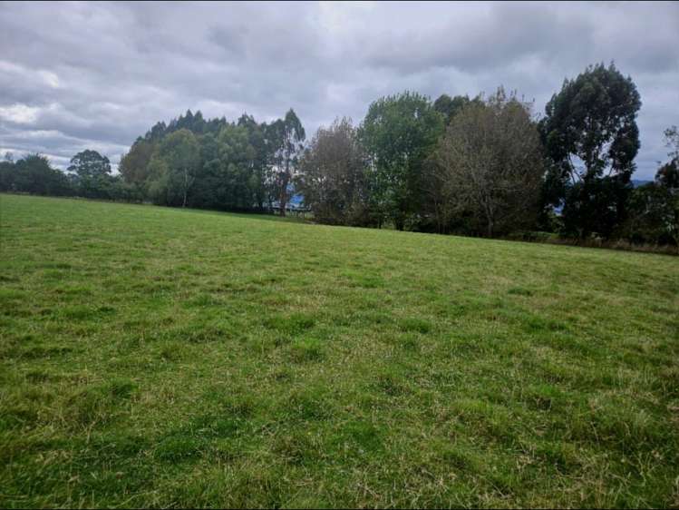 946F Finnis Road Pohangina_15