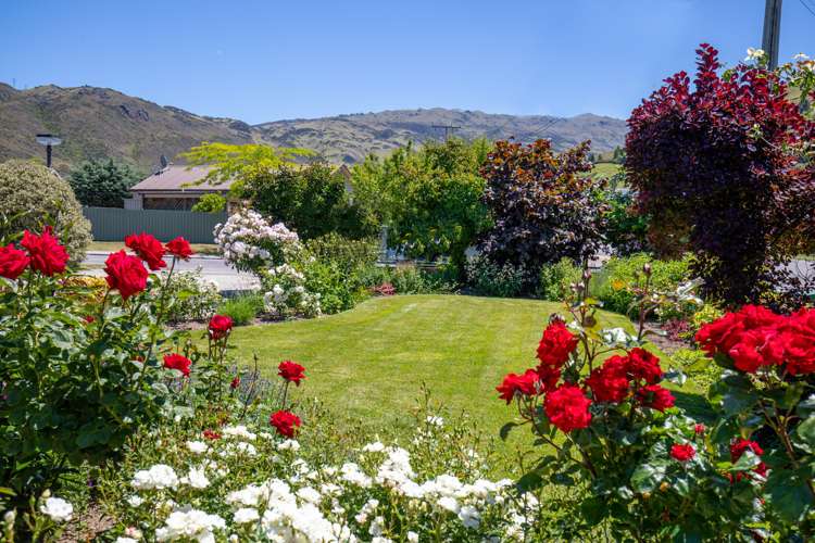 77 Hazlett Street Clyde_3