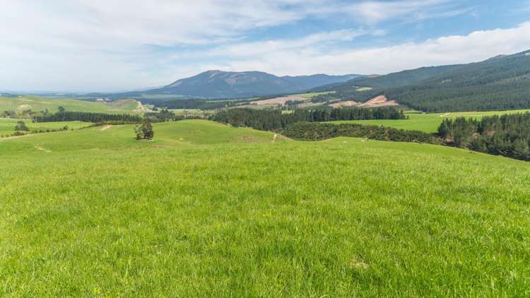 Quarry Road Loburn_6