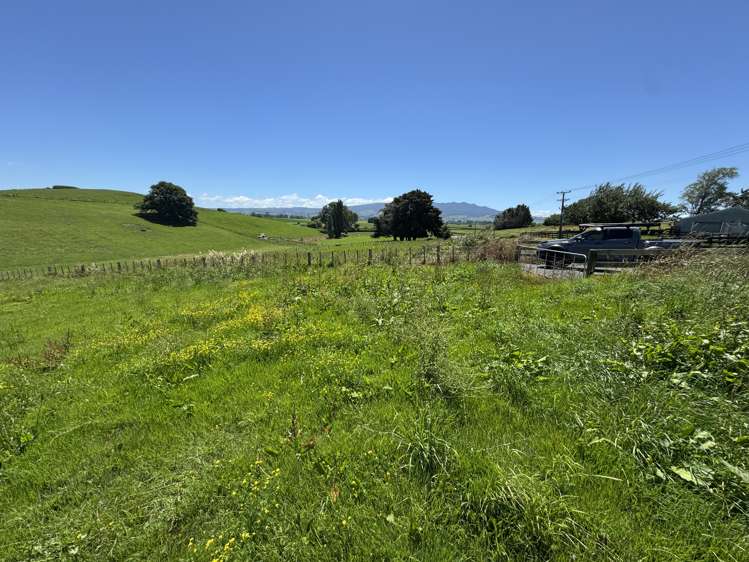 Lot 2 Pokuru Road Rd 3 Te Awamutu_9