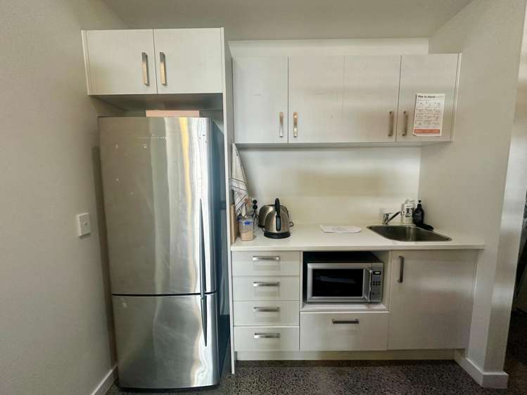 10 Burns Street Grey Lynn_6