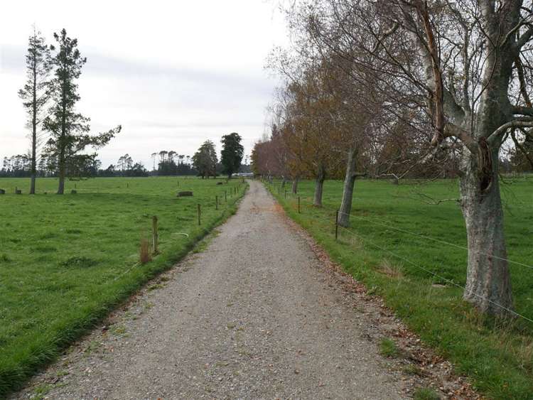 44 Wigzell Road Kahurangi National Park_13