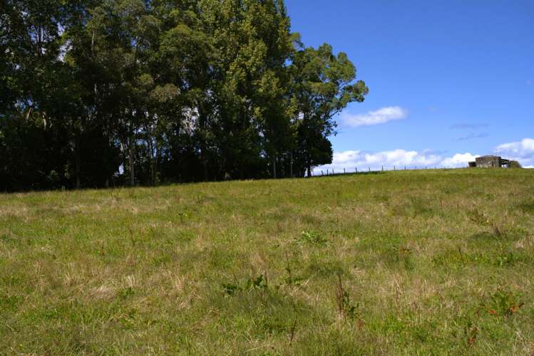 1-6/461 Otamarakau Valley Road_5