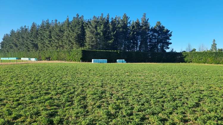 472 Pesters Road West Eyreton_14