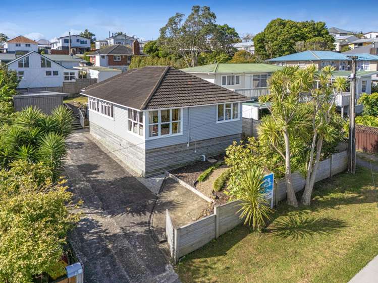 38 Puriri Street_0