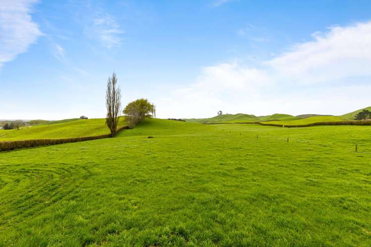 310 Matarawa Road Kinleith_15