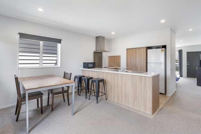 47 Divide Loop Takanini_2